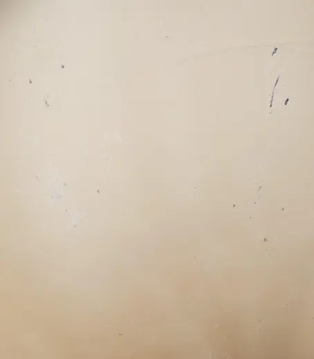 survey-image
