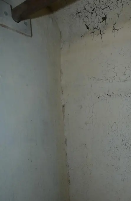 survey-image