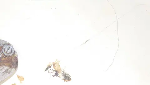 survey-image
